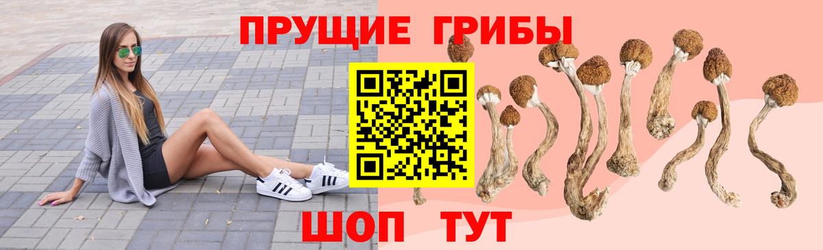 Галлюциногенные грибы Magic Shrooms Алейск